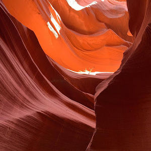 Meet your Posher, Lynette